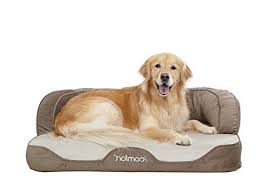 icomfort sleeper sofa pet bed with dual