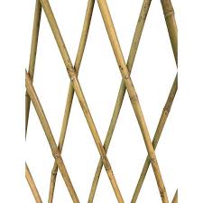 Expandable Bamboo Poles Trellis Bff 36p