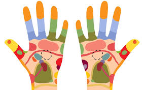 Reflexology Hand Chart Locate Reflex Points For Relaxation