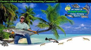 Florida Inshore Saltwater Fish Identification
