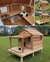 outdoor cat house outside heated cat