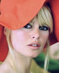 Image shared by christopher maland. Brigitte Bardot 7 Things You Didn T Know Macarons And Mimi