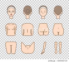 Share your body image journey. Women S Body Parts Set Beauty Stock Illustration 68908719 Pixta