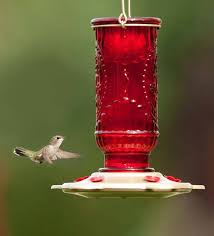 Humming Bird Feeders Glass Hummingbird