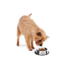 Check spelling or type a new query. Wagg Dog Food Reviews Wag Dog Food Food For Dogs And Cat