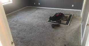 removing mold from carpeting mold