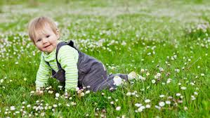 wallpaper infant meadow child spring