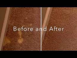 carpet dyeing bleach stains
