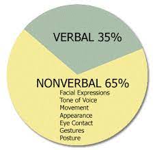 non verbal features of sch