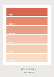 Peach Tones Colour Palette 81 Color
