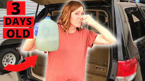 how to get sour milk smell out of car