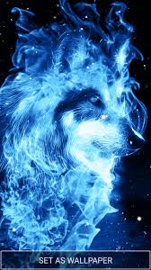 fire and ice wolf wallpapers on