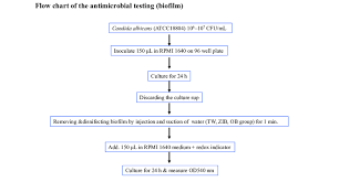 Flow Chart Of The Antimicrobial Testing Biofi Lm