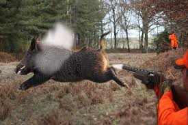 Image result for HUNTING PHOTO
