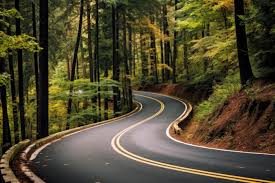curved forest road free stock photo