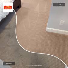 lewis carpet cleaners floor care inc