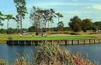 Rogers Park Golf Course in Tampa, Florida, USA | GolfPass