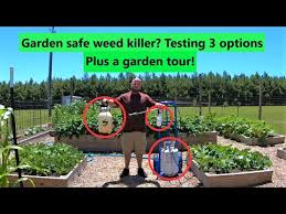 safe weed options for my garden