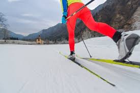 The 25 Best Cross Country Skis Of 2019 Adventure Digest