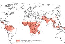 From Deet To Doxy Malaria Information For Travellers Iamat