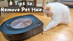 how to clean pet hair from your home