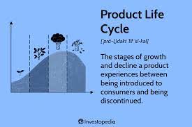 Product Life Cycle Explained: Stage and Examples