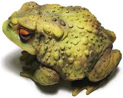 muse design frog toad sculptures
