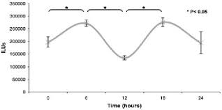 Figure 2 From Circadian Rhythm Of Osteocalcin In The