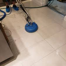 carpet cleaning in palm springs fl