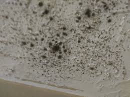 mold on my bathroom ceiling