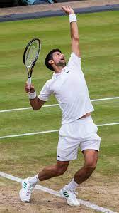 File:Novak Djokovic Wimbledon 2017.jpg - Wikimedia Commons