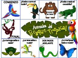 They can vary in color those listed below are automatically enabled on our site and you can opt out at any time by following the instructions below. Animals Of The Rainforest Spanish Board Game Animal Fact Cards