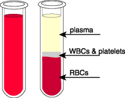 blood plasma its constuenrs and