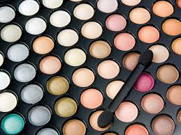 free photo professional makeup palette