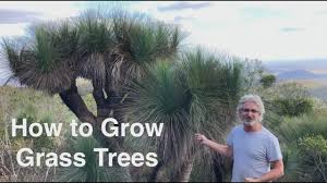 how to grow gr trees you