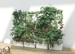 Green Wall And Living Plant Wall For