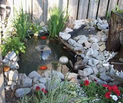 pond kit with lighting small backyard