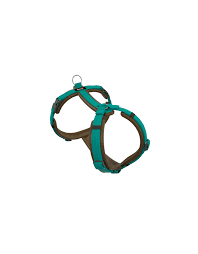 Dogfellow Harness For Small Dogs Brown Teal