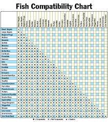 Fish Tank Mates Chart Freshwater Tropical Fish Compatibility