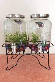 Get diy cool betta fish tanks png. Diy Drink Dispenser Fish Tank Fish Tank Diy Fish Tank Cool Fish Tanks