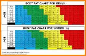 Bmi Or Body Fat Percentage Which Should I Focus On Body