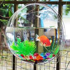 Fish Bowl Betta Fish Tank Glass