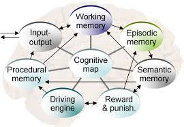ap psychology memory cognition