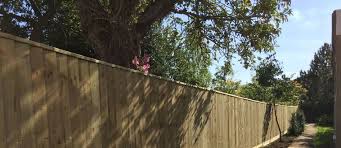 Choosing The Best Type Of Garden Fence