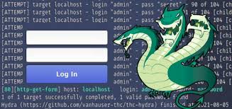 using thc hydra to brute force login