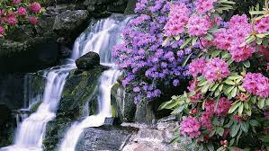 Waterfalls Waterfall Flower Garden