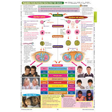 Nota sains tahun 6 bab 4:interaksi antara hidupan. Pembelajaran Holistik Peta Minda Visual Diagram Sains Spm Tingkatan 4 5 Dwibahasa New Shopee Malaysia