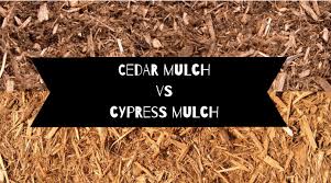 cedar mulch vs cypress mulch