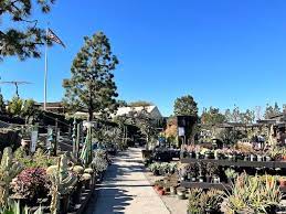 Roger S Gardens In Newport Beach Ca