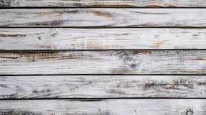 Weathered White Painted Wood Texture